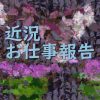 近況お仕事報告アイキャッチ