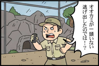 オオカミが一頭いない 逃げ出したのでは！？・