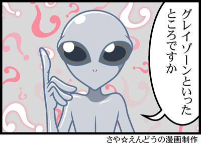 today's-gray16 グレイゾーンといったところですか